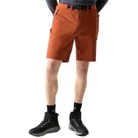 Dare 2b Tuned In Pro II Kurze Hose Arabian Spice 50