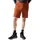 Dare 2b Tuned In Pro II Kurze Hose Arabian Spice 50
