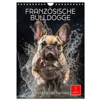 Calvendo Französische Bulldogge - ein Hund für die Familie