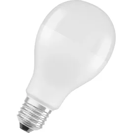 DeLock LED-Birne 150W E27 6500 K 1 St.