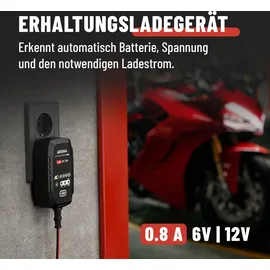Absina Ladegerät für Motorradbatterie - Erhaltungsladegerät vollautomatisch für 6V & 12V Blei Batterie bis 26Ah / 12,8V Lithium