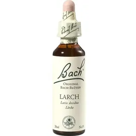 Nelsons Gmbh Bachblüten Larch Tropfen
