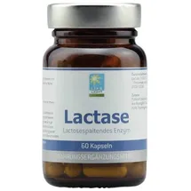 Apozen LACTASE Kapseln