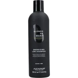 Alfaparf Milano Blends of Many Energizing Low 250 ml
