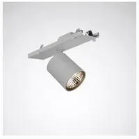 Trilux Strahlermodul Silber