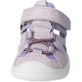 Pepino Gary Lila 25