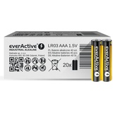 Everactive Industrielle Alkalisch AAA LR03 batteries Mikro 1.5V Exp 2025 Neu