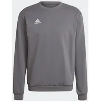 adidas Entrada 22 Sweatshirt Team Grey Four XS