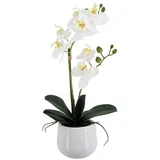 aplanta Künstliche Orchidee - Mian | 45 cm,