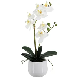 aplanta Künstliche Orchidee - Mian | 45 cm,