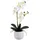 aplanta Künstliche Orchidee - Mian | 45 cm,