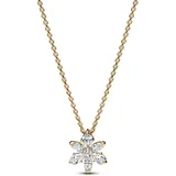 Pandora Timeless gold 362387C01