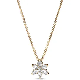 Pandora Timeless gold 362387C01