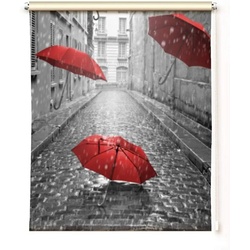 Rollo Rollo Rain – Toller Herbstrollo – zum klemmen oder schrauben, gardinen-for-life 45 cm x 160 cm