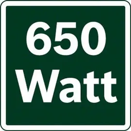 Bosch Farbsprühsystem PFS 3000-2