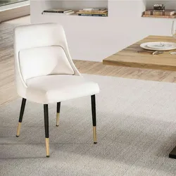 FineBuy Esszimmerstuhl Samt Küchenstuhl Schalenstuhl Modern Gepolstert Stoff