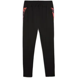 Puma IndividualCUP Trainingshose Herren 07 black L