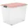 Rotho Compact Aufbewahrungsbox 57 x 39,5 x 43,5 cm 1-tlg. rosa