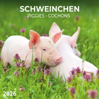 Tushita paperart Schweinchen/Piggies 2026