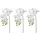 Creativ green Kunstorchidee CREATIV GREEN "Orchidee Phalaenopsis", gelb, H:77cm, Kunstpflanzen, mit real-touch-Blüten