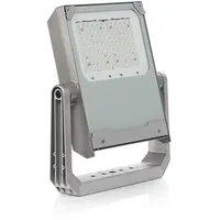 Philips Außenstrahler Aluminium, Glas 14,0 cm inkl. Bewegungsmelder grau