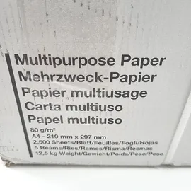 Amazon Basics Druckerpapier, DIN A4, 80 g/m2, 2500 Stück, 5 Packungen mit 500, Weiß