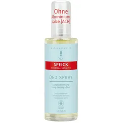 Thermal Deo Spray
