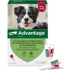 Advantage 250 Lösung für Hunde 10-25 kg 4 St Lösung