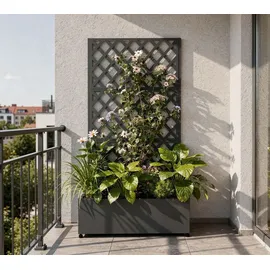 Westmann Dekora 7 Pflanzkasten mit Rankgitter 90 x 43 x 184 cm Anthrazit