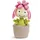NICI 48942 Blume