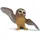 Schleich Die Schule der magischen Tiere Muriel Eule 14951