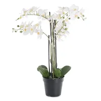 Levandeo Weiße Orchidee 72cm Pflanze Kunstblume Kunstpflanze Dekoration Blume