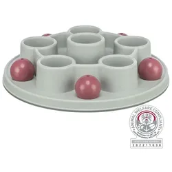 Trixie Cat Activity Pentagon
