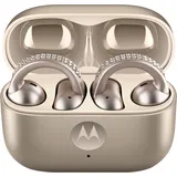 Motorola Moto Buds Loop French Oak