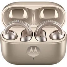 Motorola Moto Buds Loop French Oak