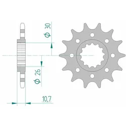 AFAM Rennstahl Kettenrad 21804 - 520