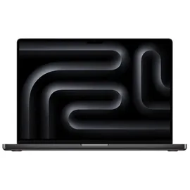 Apple MacBook Pro 16 2024 M4 Pro 48 GB RAM 1 TB SSD 20-Core GPU Space Schwarz