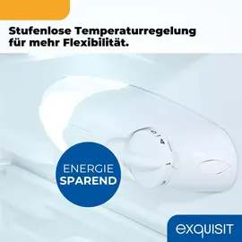 Exquisit KS515-4-051C Kühlschrank (107 l, 845 mm hoch, Inoxlook-az)