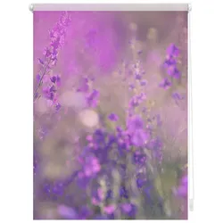Lichtblick Rollo, ‎‎Klemmfix, 70x150 cm‎, Blumenwiese, fuchsia violett - lila