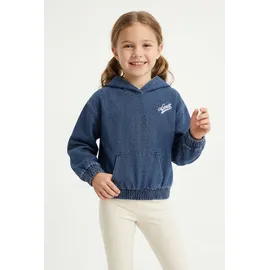 Levi's Hoodie Blau 152