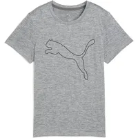Puma Unisex W TAD Essential Heather Logo Tee T-Shirts,