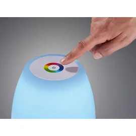 meineWunschleuchte 2er SET kleine Outdoor Akku Tischlampen 26cm ohne Kabel - dimmbar & RGB Farbwechsler