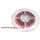 Eurolite LED Streifen 50530136 12V RGB 500 cm