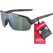 Alpina Turbo HR Q-Lite black matt/silver 31