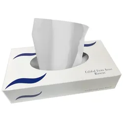 MONOUSO - Kosmetiktücher 2 Lagig Box 100 Stück (1 Box)