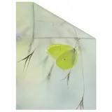 Lichtblick Fensterfolie Schmetterling Grün 1 St., blickdicht, strukturiertKlebepunkte, selbstklebend, Sichtschutz, grün Fensterfolie, 11105240-4