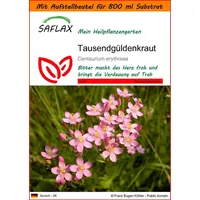 SAFLAX - Garden in the Bag - Heilpflanzen -