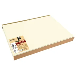 Pronappe S340102I 5x Schachtel mit 100 Tischsets, Spunbound, einfarbig - Format 30x40cm - Elfenbein