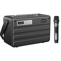 C.perkins - ROADY-FL - Das professionelle 100W batteriebetriebene ALL-IN-ONE