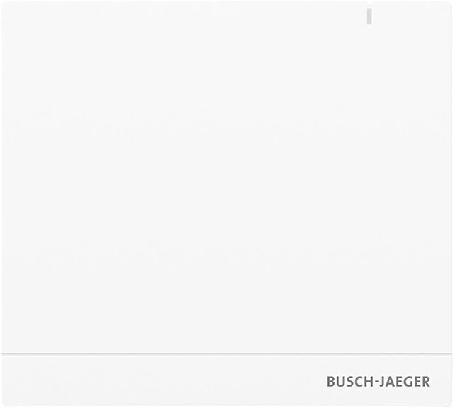Busch-Jaeger System Access Point SAP/S.13